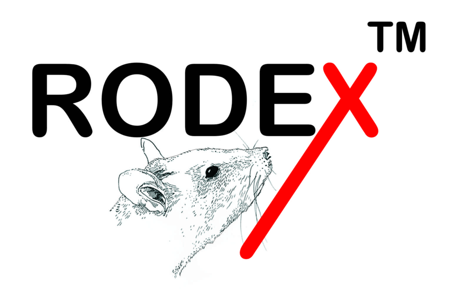 RODEX Logo (2)