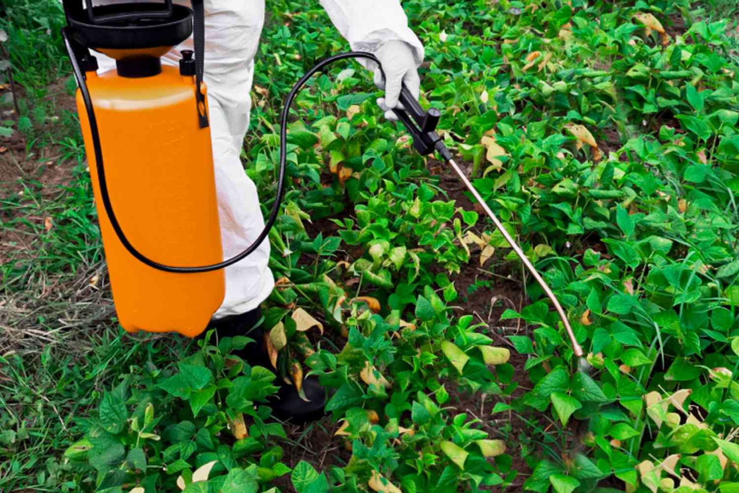 green-weed-killers-2152938-03-af1b757756934c0fb168b07594cc09f8 green-weed-killers-2152938-03-af1b757756934c0fb168b07594cc09f8